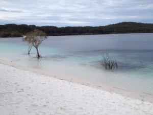Fraser Island-081